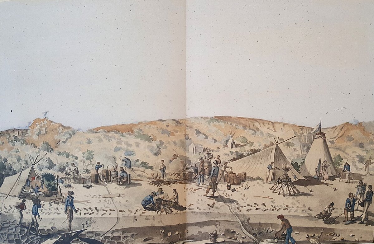 Aquarelle : un campement de tentes au pied de dunes, des hommes au travail, des embarcations sur le rivage