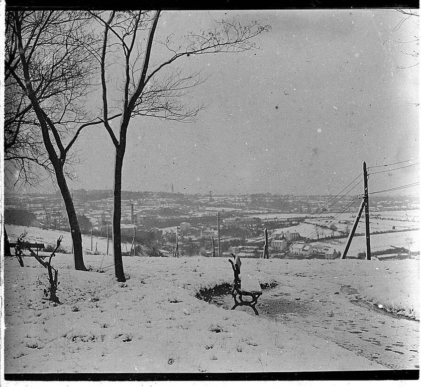 Photographie ancienne en noir et blanc : un parc enneigé, des arbres nus, et au loin la campagne